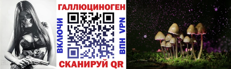 где купить наркоту  Белый  hydra маркетплейс  Псилоцибиновые грибы мухоморы 